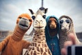 Vintage toned picture of group of giraffes in Paris, France