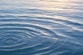 Intriguing water surface, delicate ripples, selective focus evokes calm serenity Royalty Free Stock Photo