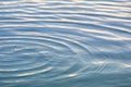 Intriguing water surface, delicate ripples, selective focus evokes calm serenity Royalty Free Stock Photo