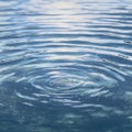 Intriguing water surface, delicate ripples, selective focus evokes calm serenity Royalty Free Stock Photo