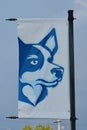 Baptist Health Sciences University Mascot Blue Healer