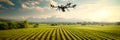 introducing precision farming techniques using tractors and drones equipped with sensors that target specific areas to
