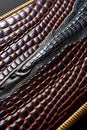 intricate crocodile leather well detailed generative ai
