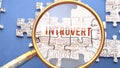 Introvert as a complex subject