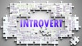 Introvert as a complex subject, related to various topics and ideas on a puzzle
