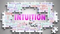 Intuition as a complex subject, related to important topics spreading around as a word cloud