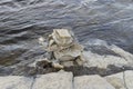 Inukshuks in the Ottawa River at Remics Rapids