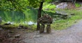 Inuksuk also spelled inukshuk, plural inuksuit in Parc Omega