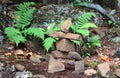 Inuksuk also spelled inukshuk, plural inuksuit in Parc Omega