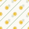 Inula flower seamless vector pattern background. Perennial cottage garden flowers yellow green diagonal stripe backdrop Royalty Free Stock Photo