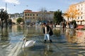 The inundation of lake Lugano Royalty Free Stock Photo