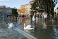 The inundation of lake Lugano Royalty Free Stock Photo