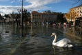 Inundation at the streets of Lugano Royalty Free Stock Photo