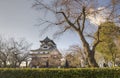 Inuyama castle, Japan Royalty Free Stock Photo
