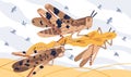 Invasion pest of rice seed vector illustration. Large herbivorous insects attack on field or meadow. Swarm of locusts on