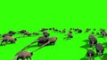 Invasion of Rats Mice Sniff Mouse Back Green Screen 3D Rendering Animation