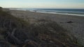 Inverloch surf beach in Australia, dolly in shot