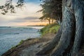 Inverloch surf beach at sunset in Victoria, Australia