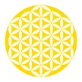 Inverted golden Flower of Life over white