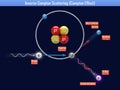 Inverse compton scattering (compton effect)