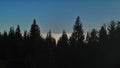 Inversion fog behind the trees in Klet and alps in austria in far away czech republic europe