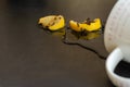 Inverted cup and the rest of spilled tea on a dark table Royalty Free Stock Photo