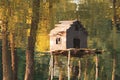 Inverted reflection of the house for ducks in the river water in Royalty Free Stock Photo