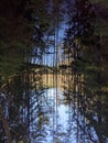 Inverted Reflection On The Water Of A Forest Swamp.