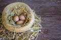 inverted straw hat with straw and eggs inside