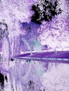 Inverted picture of tree over river Royalty Free Stock Photo