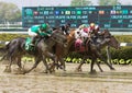 Great Horse Racing Photos from Belmont Park