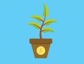 Invest investment tree with money gold coins growth plant