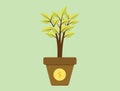 Invest investment tree with money gold coins growth plant