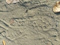 Investigation tyre prints and footprints on dusty road on crime scene