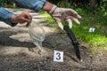 Investigator collects evidence - crime scene investigation