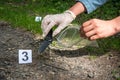 Investigator collects evidence - crime scene investigation Royalty Free Stock Photo