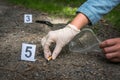 Investigator collects evidence - crime scene investigation