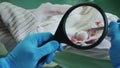 Investigator`s hands with magnifying glass, examines traces of blood on clothes
