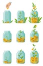 Investing bottle money, icon set. Money growing concept, finance savings tree, finances investment. Money growing plant