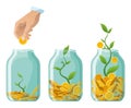 Investing bottle money, icon set. Money growing concept, finance savings tree, finances investment. Money growing plant