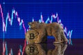 Investing in cryptocurrencies. The bearish trend for bitcoin
