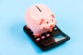Investing gain profit. Calculate taxes. Piggy bank pig and calculator. Taxes and charges may vary. Accounting business
