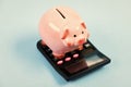 Investing gain profit. Calculate taxes. Piggy bank pig and calculator. Taxes and charges may vary. Accounting business