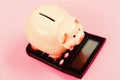 Investing gain profit. Pay taxes. Calculate taxes. Piggy bank pig and calculator. Taxes and charges may vary. Accounting Royalty Free Stock Photo