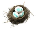 Investing Nest Egg Royalty Free Stock Photo