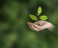 Investing to green business