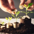 Investing to green business. Close up of human hands holding coins and plant growing on pile of coins. Royalty Free Stock Photo