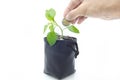 Investing to green business