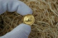 Pure gold coin with a rat image. Investment coin in the hand of a numismatist. Royalty Free Stock Photo