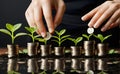 Investment concept, Coins are placed on the table,Businessman\'s hand put coin to money tree. Royalty Free Stock Photo